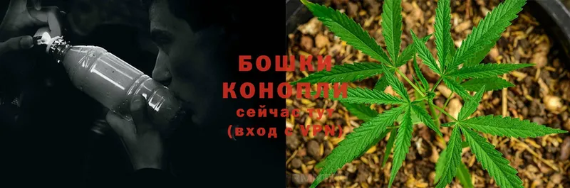 блэк спрут ТОР  Оса  Каннабис конопля 